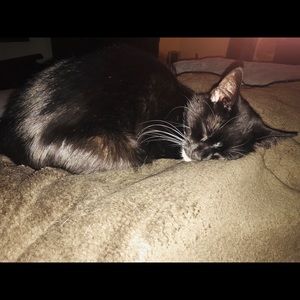 Meet your Posher, Amanda